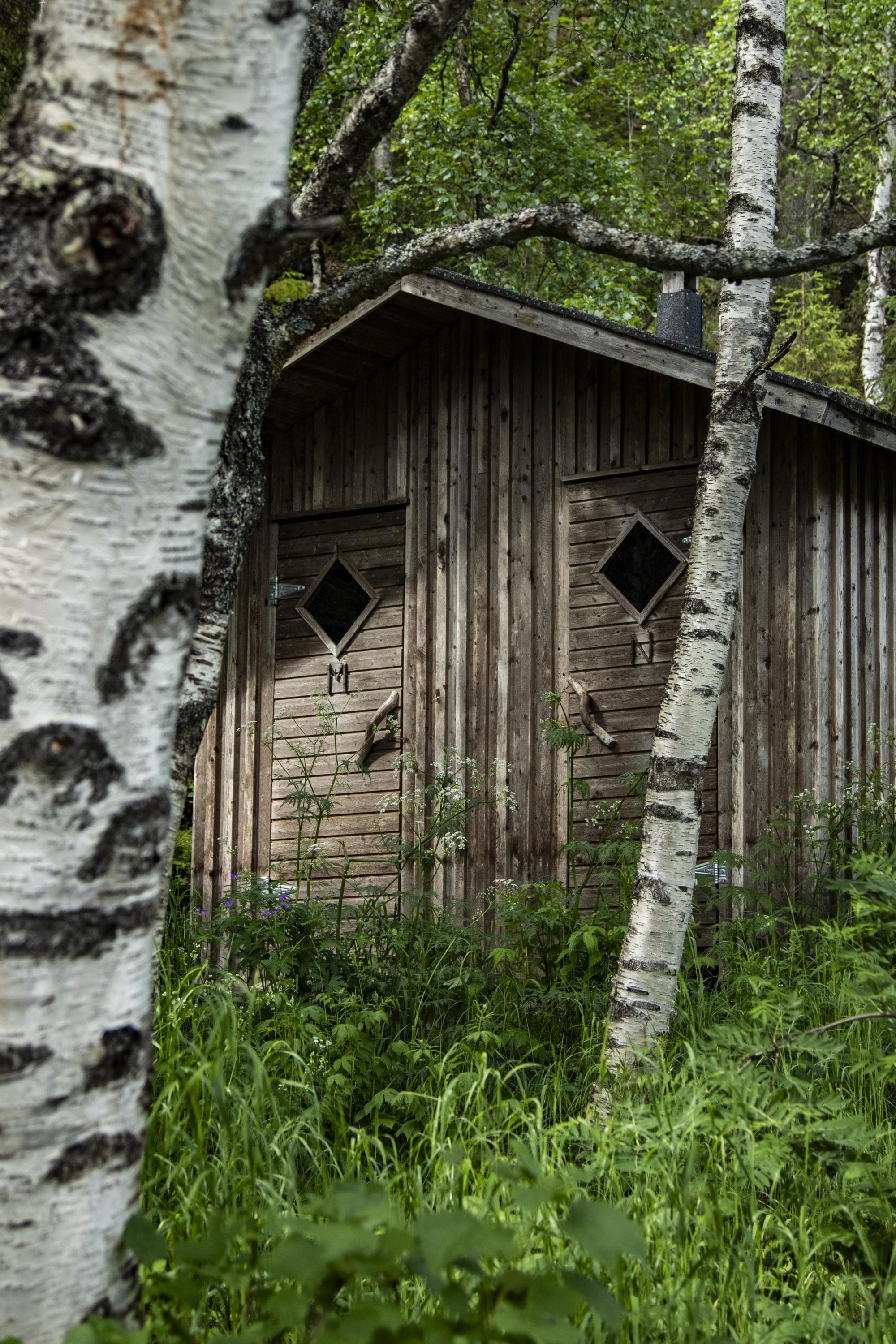 Kuva: Jonna Kalliomäki Harmaa käymälä koivumetsän keskellä.