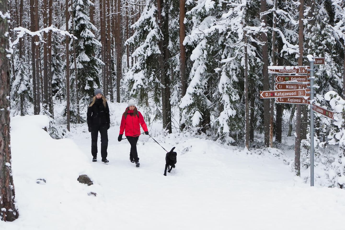 Image: Laura Uusi-Simola Two hikers and a do in the winter forest.