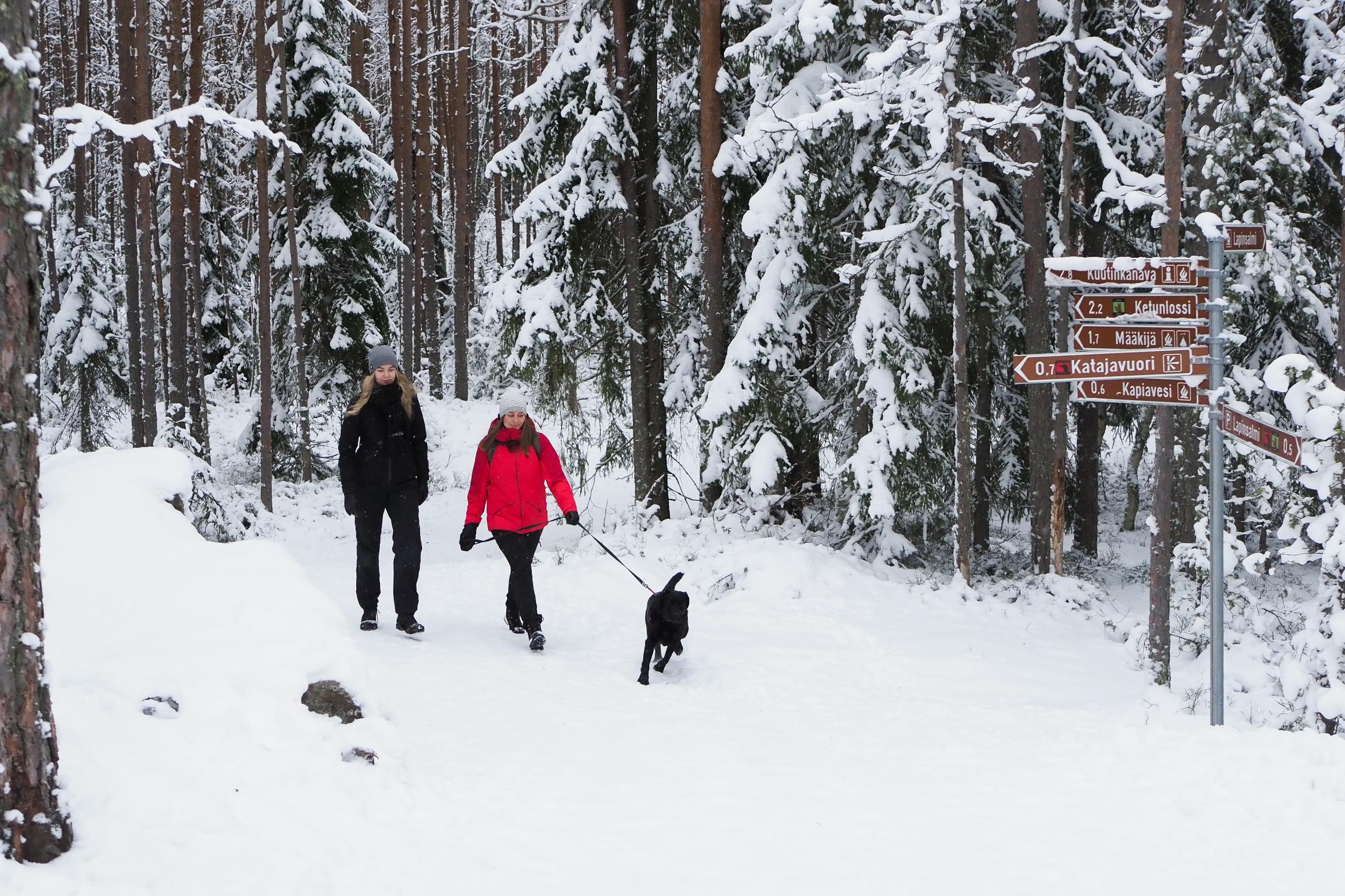 Kuva: Laura Uusi-Simola Kaksi retkeilijää ja koira merkityllä ja viitoitetulla reitillä talvella.