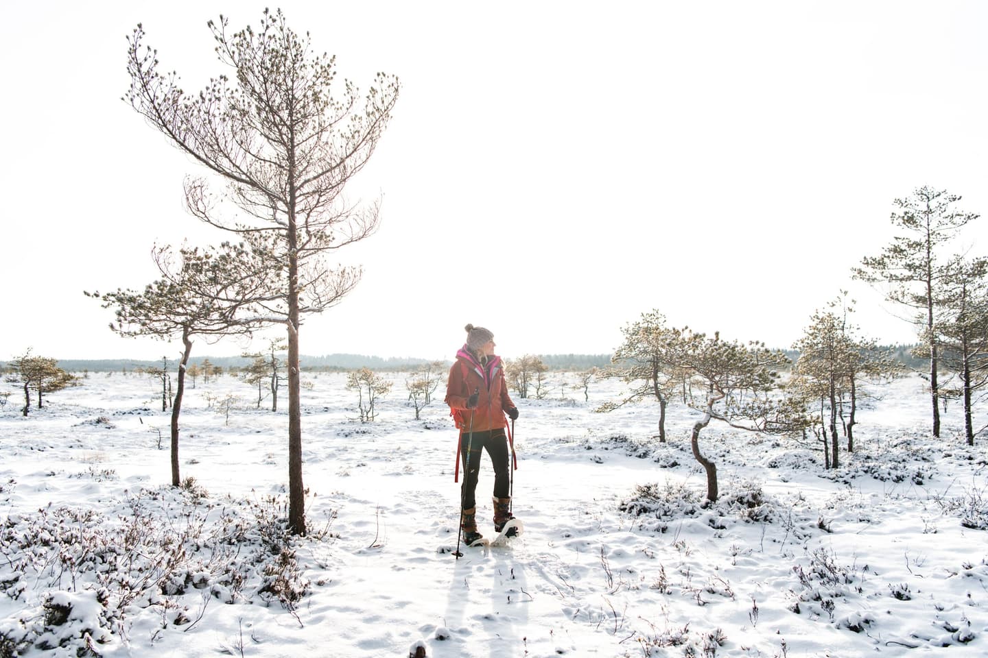 Image: Eeva Mäkinen A snowshoer has stopped to look around in the mire. There are a few small trees in the forefront and a little snow on the ground.