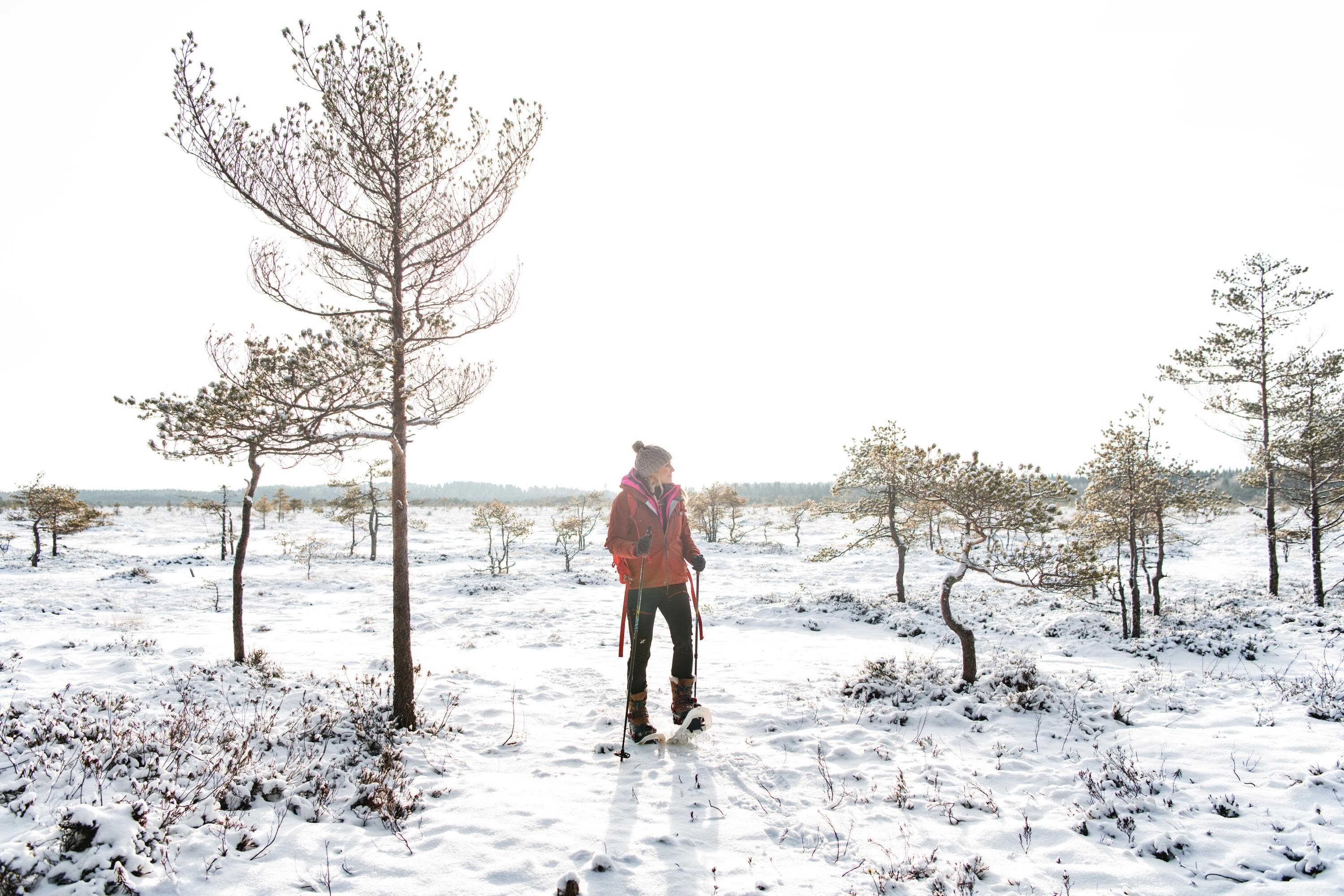 Kuva: Eeva Mäkinen Lumikenkäilijä on pysähtynyt katselemaan suota, etualalla myös muutama pieni puu, lunta vähän maassa.