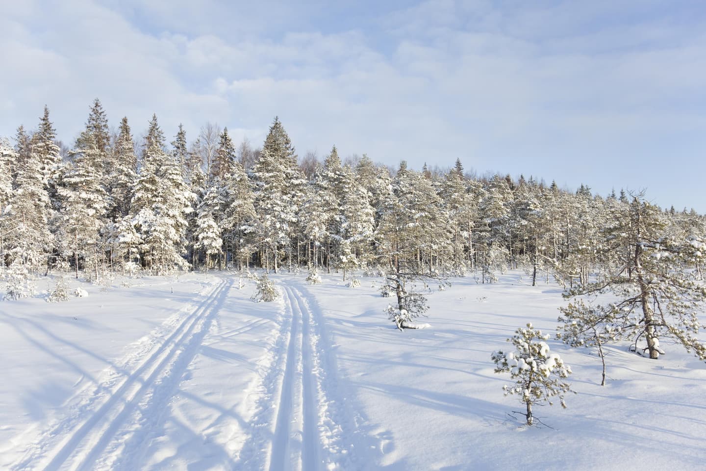 Image: Hannu Laatunen / Kuvalaatunen Ski tracks on flat terrain. Forest ahead.