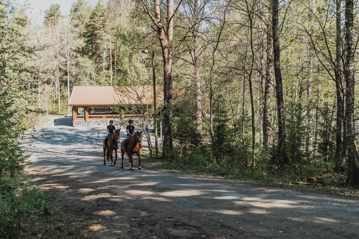 Image: Maarit Vaahteranoksa Two riders on a forest road. In the background there is a log-built day-use hut.