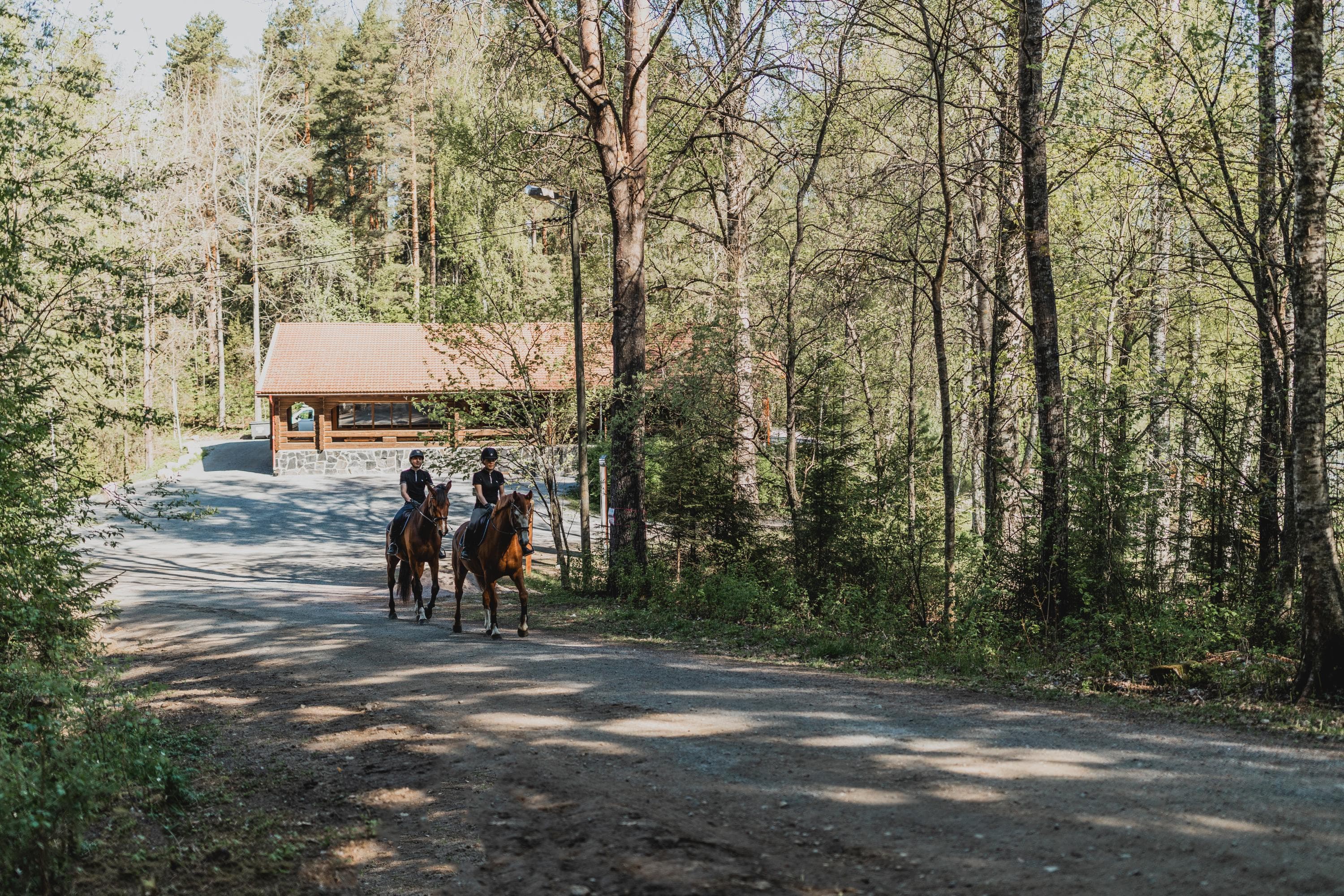 Kuva: Maarit Vaahteranoksa Kaksi ratsastajaa metsätiellä. Taustalla hirsinen ulkoilumaja.