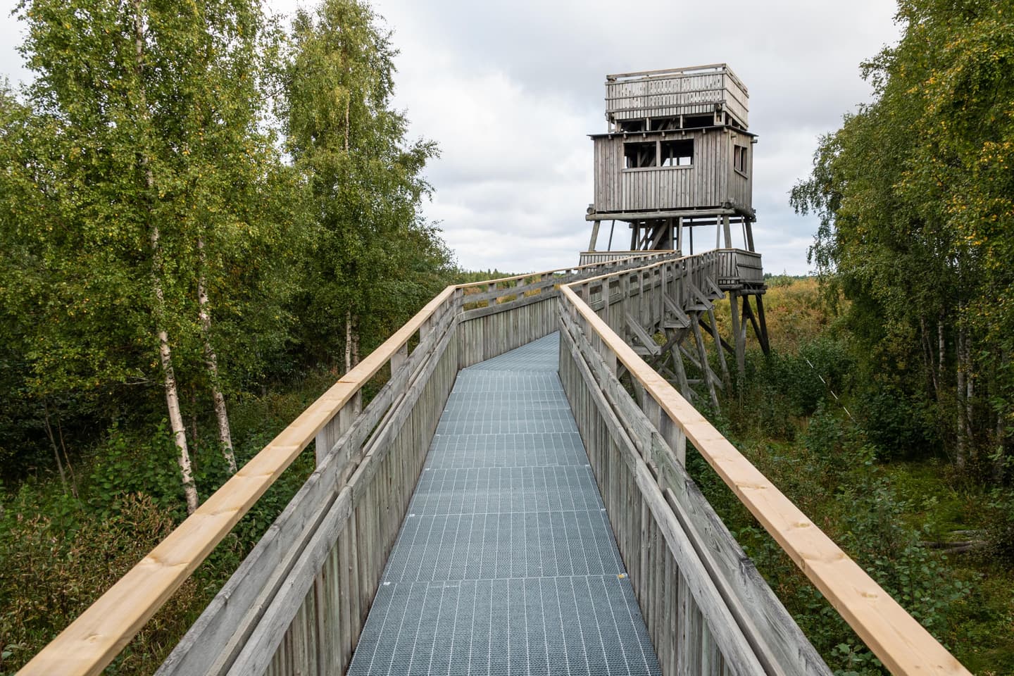 Image: Ismo Lampi An upward-sloping ramp leads to the observation tower. The ramp has a metal walking surface and wooden railings.