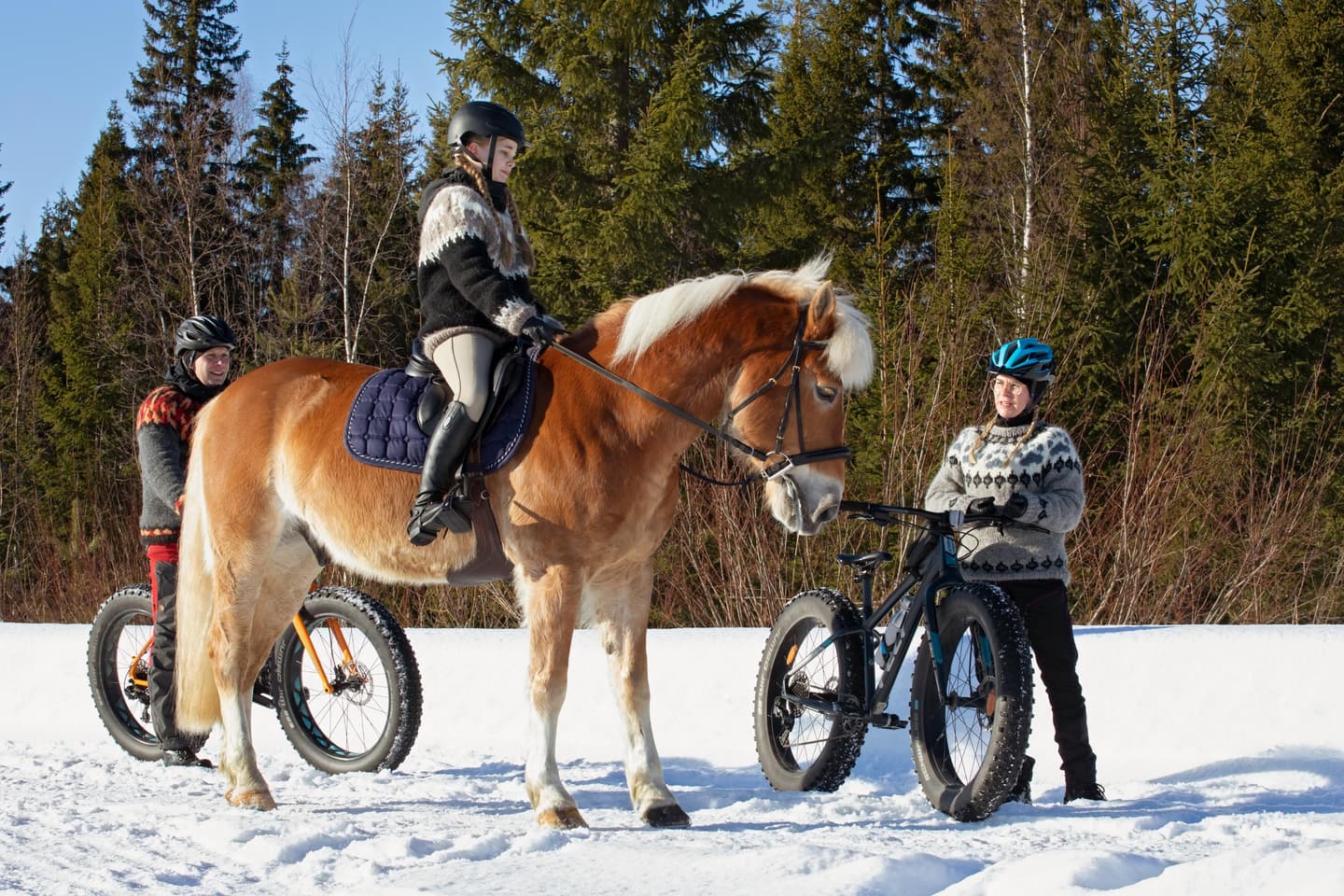 Image: Katri Lehtola / Keksi Agency A person wearing a wool sweater and helmet sits on horseback in a snowy open area and talks with two stationary fatbike cyclists. In the background are a blue sky, spruce forest and shoreline willow shrubs.