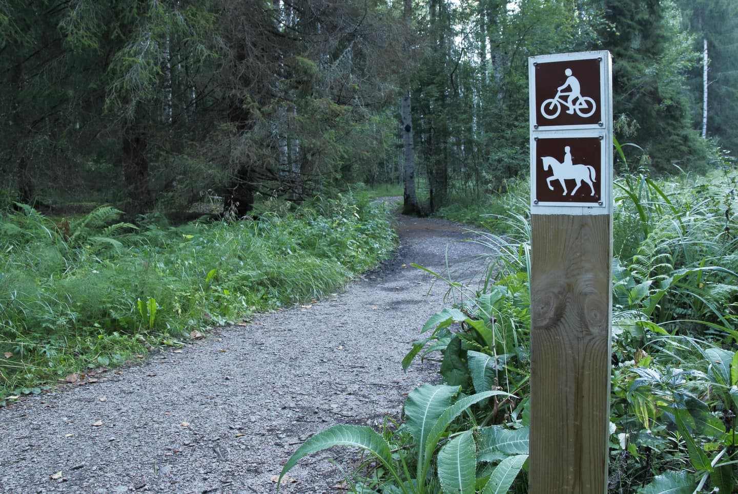 Image: Jussi Helimäki Next to a smooth trail there is a wooden post with a cycling route symbol at the top and a horse riding route symbol below it.