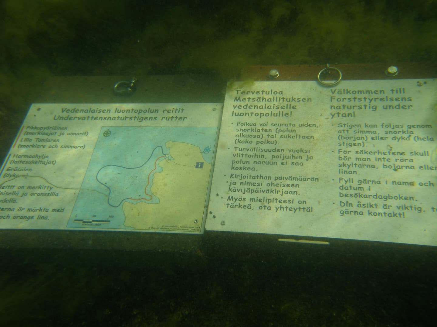 Image: Kevin O'Brien There are two nature trail information boards underwater.