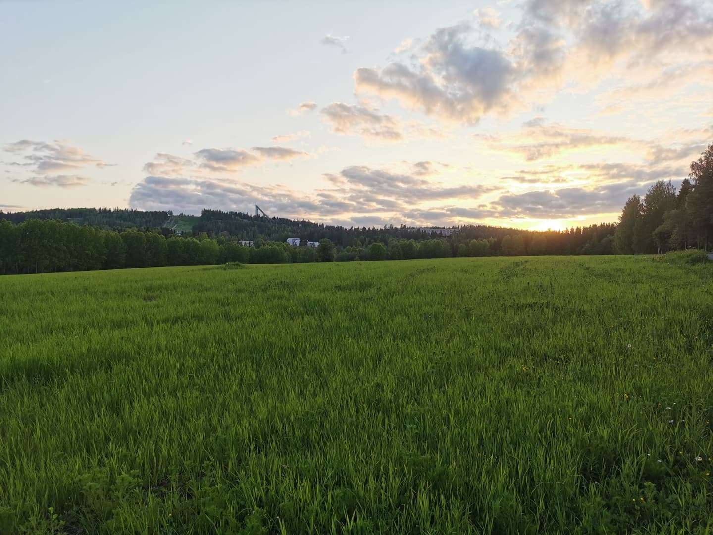 Kuva: Mira Niemelä Pellon takana on hyppyrimäki. Aurinko paistaa alhaalta.