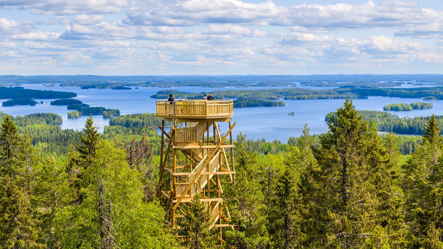 Kuva: Kuopio-Tahko Markkinointi Puinen näkötorni kohoaa metsän keskeltä taustallaan järvenselkä saarineen. Tornin huipulla on ihmisiä.