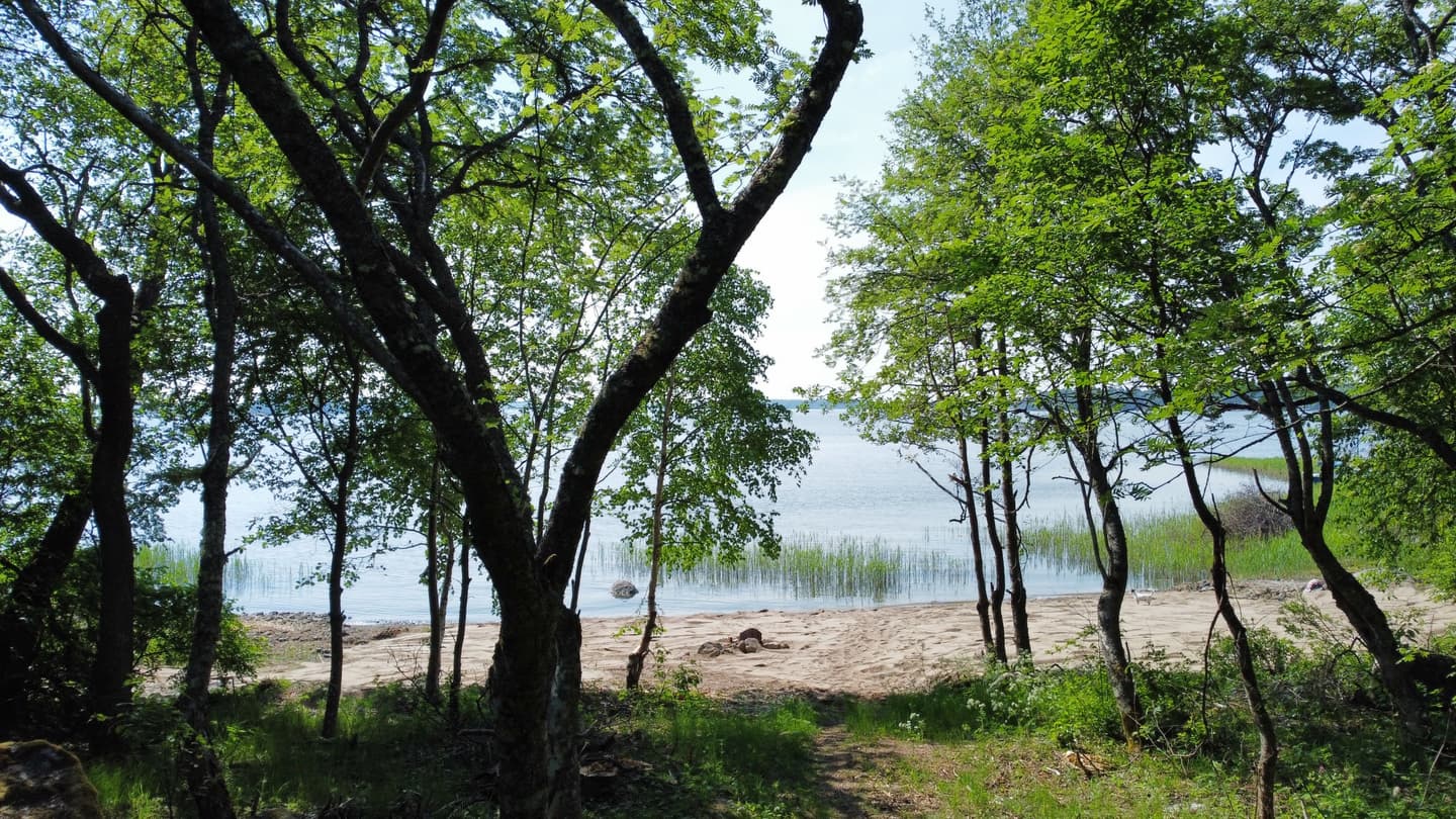 Kuva: Vaasan kaupunki / Petra Mäki Pieni hiekkaranta näkyvissä puiden lomasta aurinkoisena kesäpäivänä.