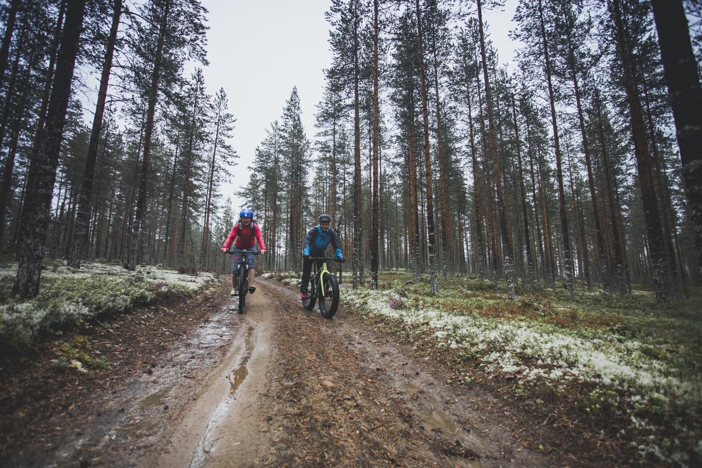 Kuva: Maarit Vaahteranoksa Kaksi maastopyöräilijää polulla. Taustalla mäntymetsää.