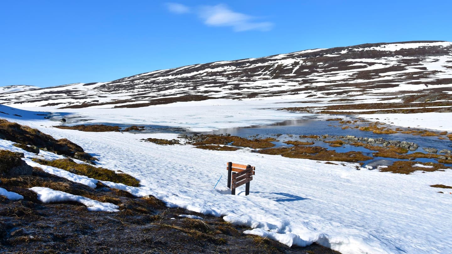 Bild: Tiia Lepistö 2017 Ett vårlandskap i fjällen, delvis snötäckt.