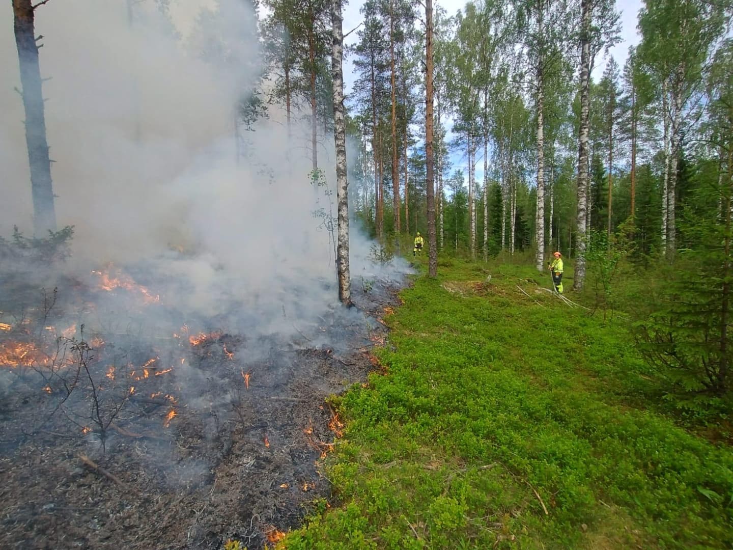 Kuva: Metsähallitus Kaksi henkilöä polttaa metsää.