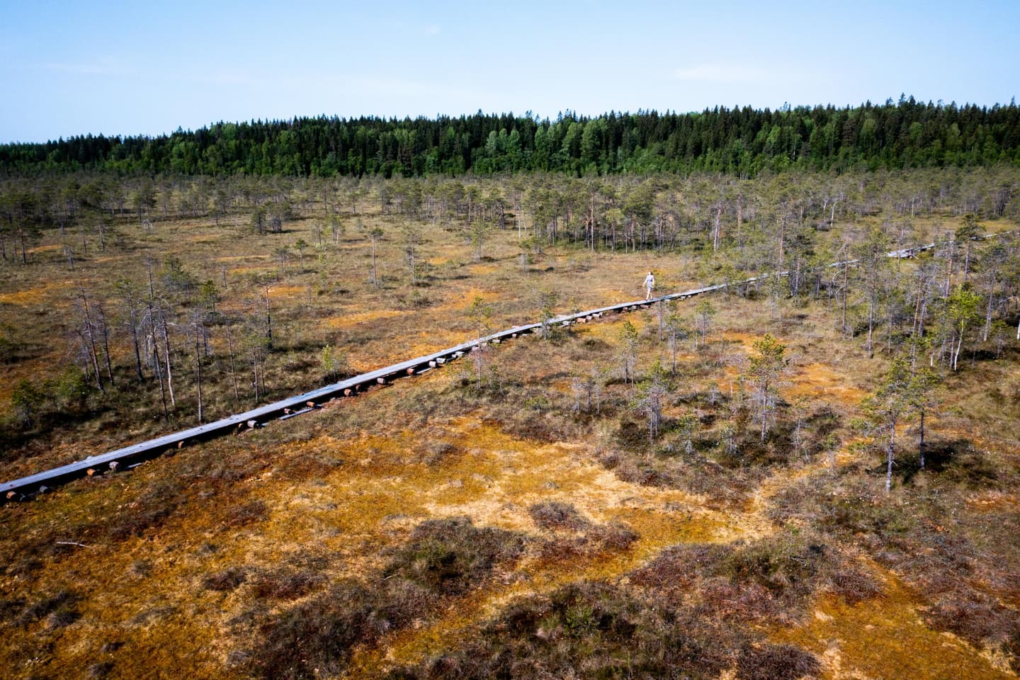 Kuva: Lassi Häkkinen / Lahden kaupunki Pitkoksilla kävelee Ihminen. Pitkokset ovat avaralla suolla koko näkyvissä olevalla matkalla.