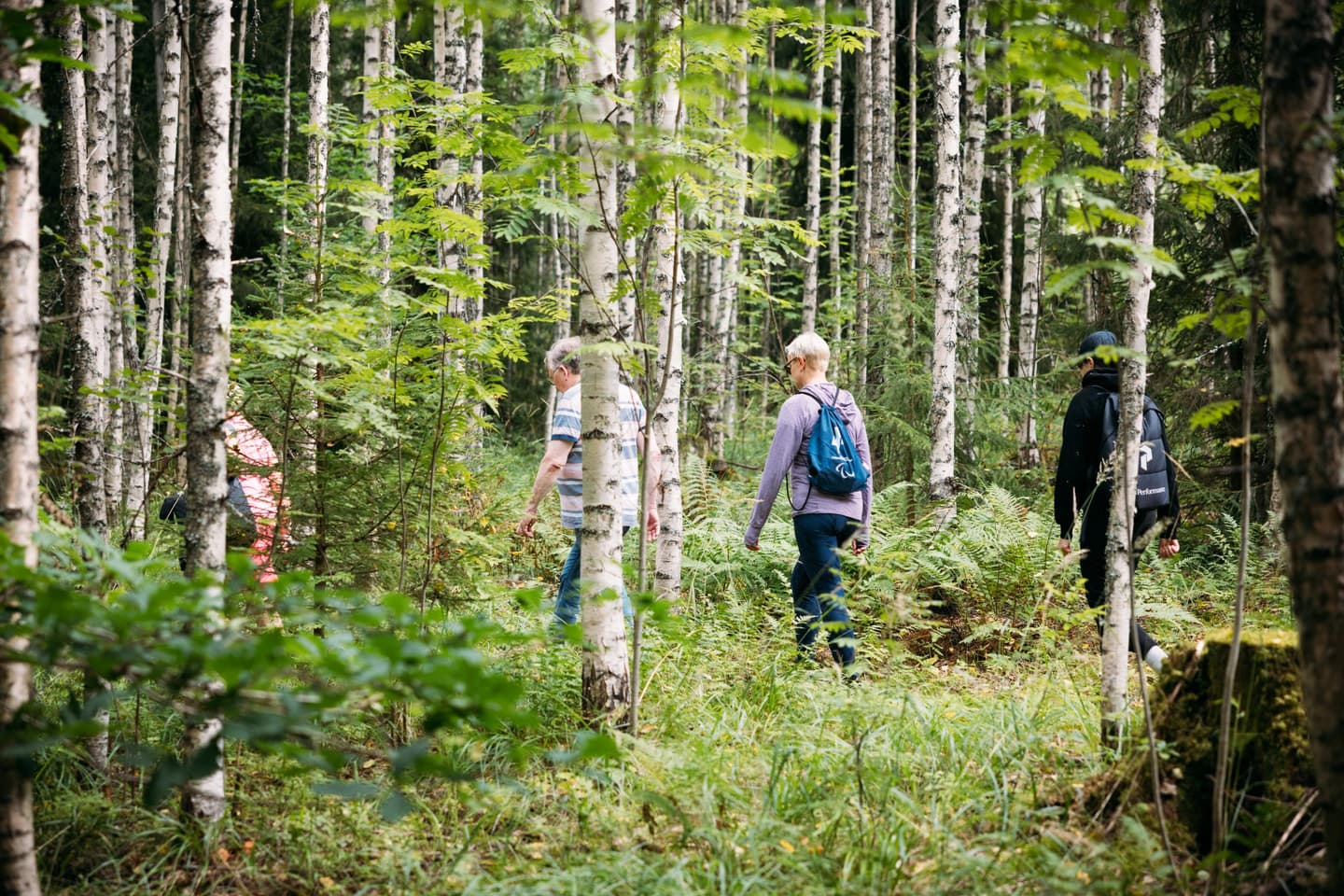 Kuva: Lassi Häkkinen / Lahden kaupunki Neljä retkeilijää kävelemässä sekametsässä, kahdella on reppu selässään.