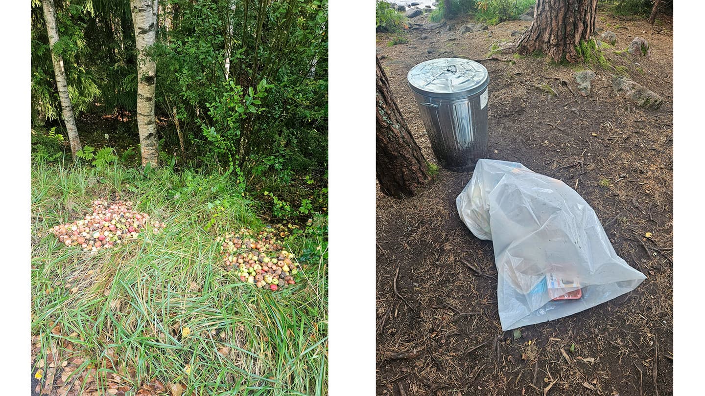 Kuva: Metsähallitus Kuvassa on metsään kipattuja jäteomenoita sekä tuhka-astia ja roskia.