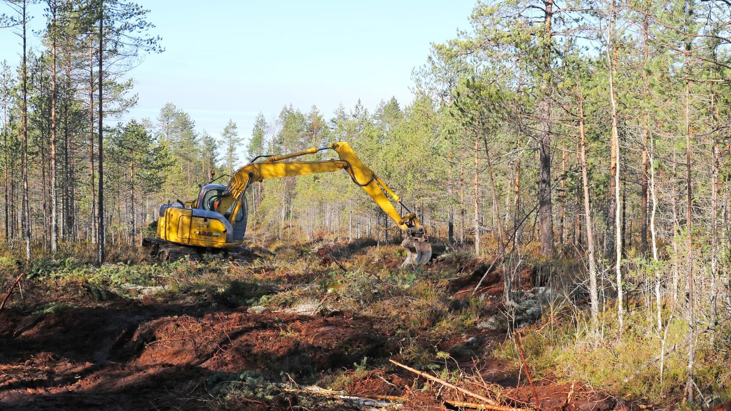 Image: Maarit Similä An excavator is filling a drainage ditch in a peatland. Large amounts of peat are visible.