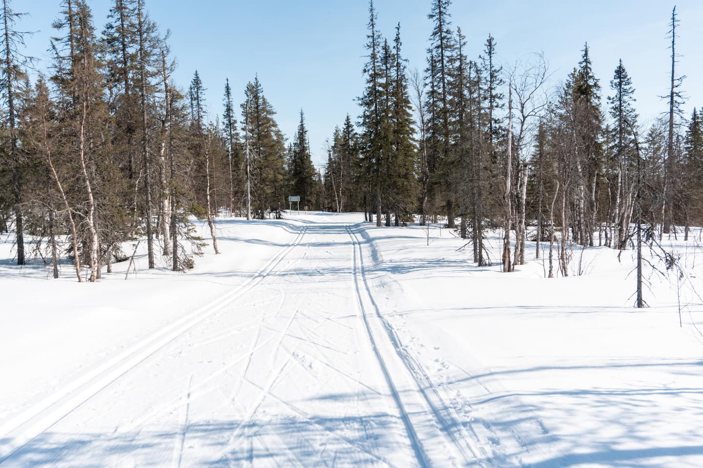 Image: Inga-Maaret Aikioniemi A ski trail runs through the snow between trees on a sunny late-winter day.