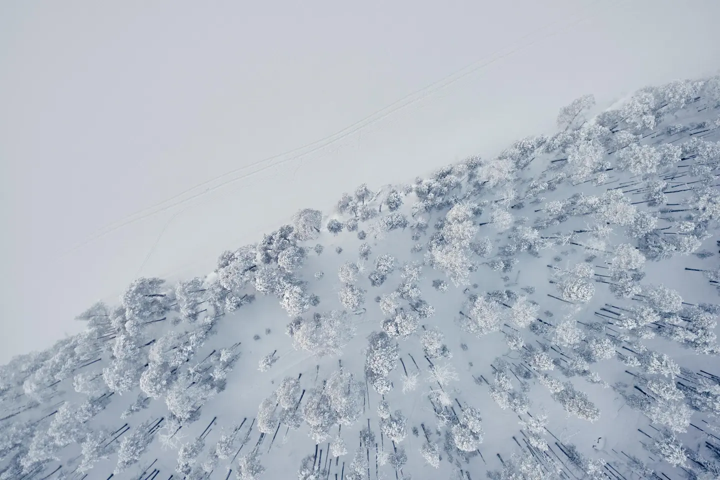 Image: Mikko Törmänen / Keksi The aerial photograph shows a snow-covered forest bordering a flat white area, likely a frozen lake.