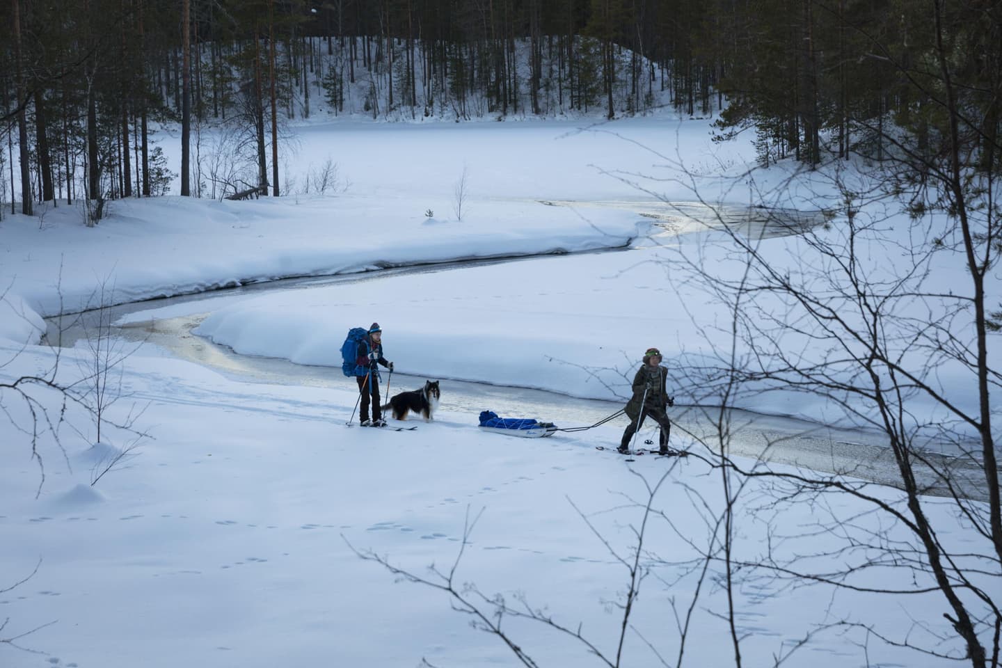 Image: Johanna Kokkola Two outdoor visitors are travelling on snowshoes with a dog and a pulk beside a stream in winter twilight.
