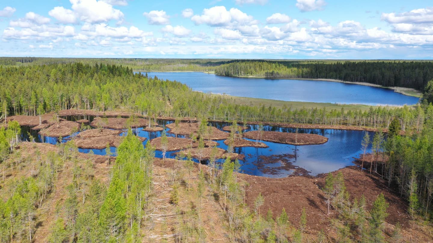 Image: Jari Vähäsalo A lake and forest can be seen in the background. In the foreground, there is a wetland area with several small islands.