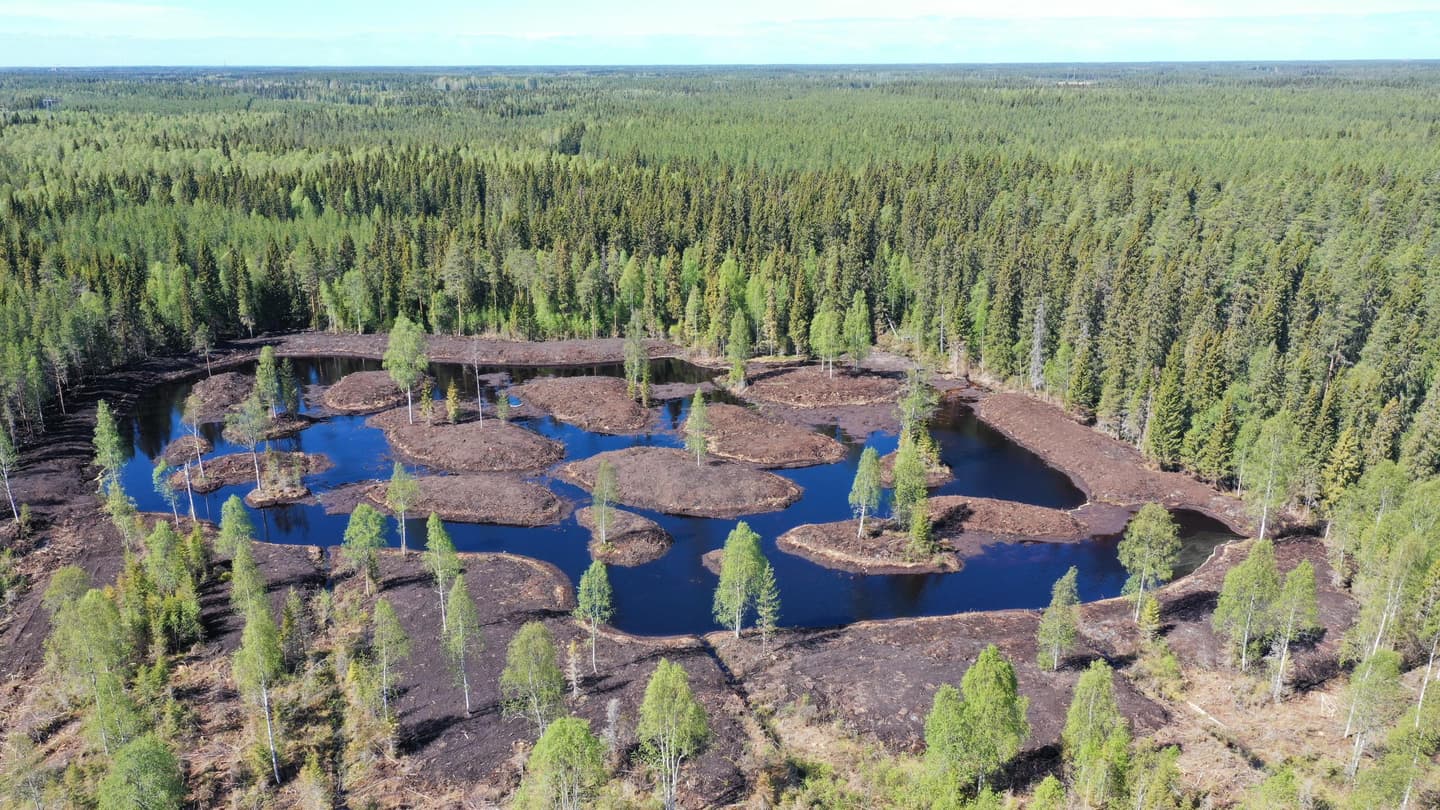Image: Jari Vähäsalo In the middle of the forest, within a peatland area, there is a large constructed wetland with several islands.