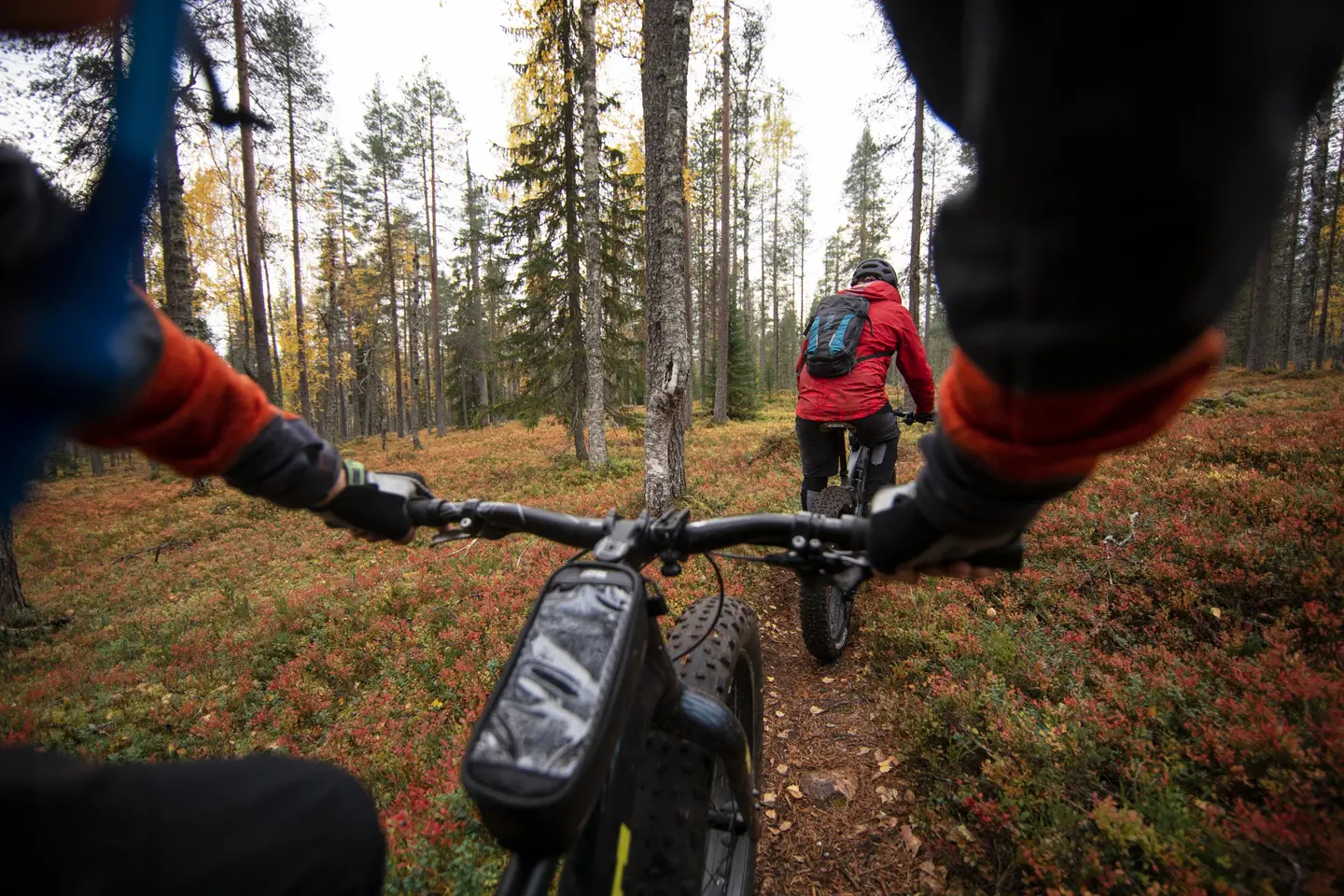Image: Harri Tarvainen In the foreground, a cyclist’s hands and handlebars are visible. Ahead on the trail, another cyclist is riding through an autumn-coloured forest.