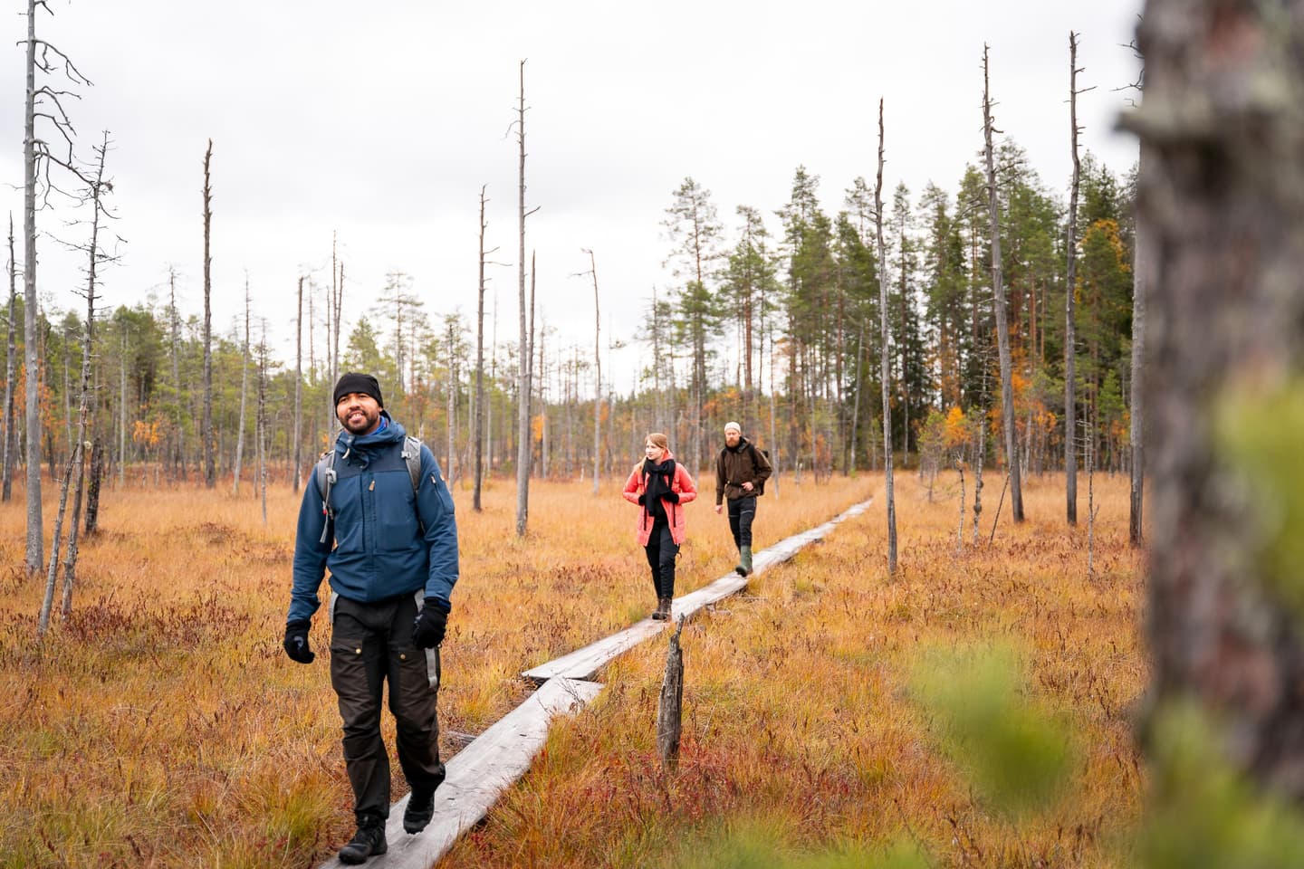 Kuva: Mitja Piipponen Kolme ihmistä kävelee suolla pitkoksilla syksyllä.