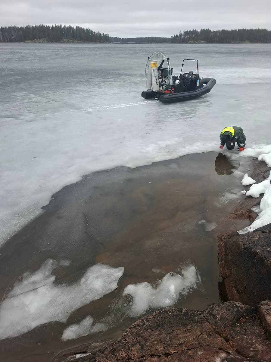 Kuva: Miina Auttila Sulanutta poikaspesää jään reunalla tutkimassa. Taustalla kelirikkoalus.
