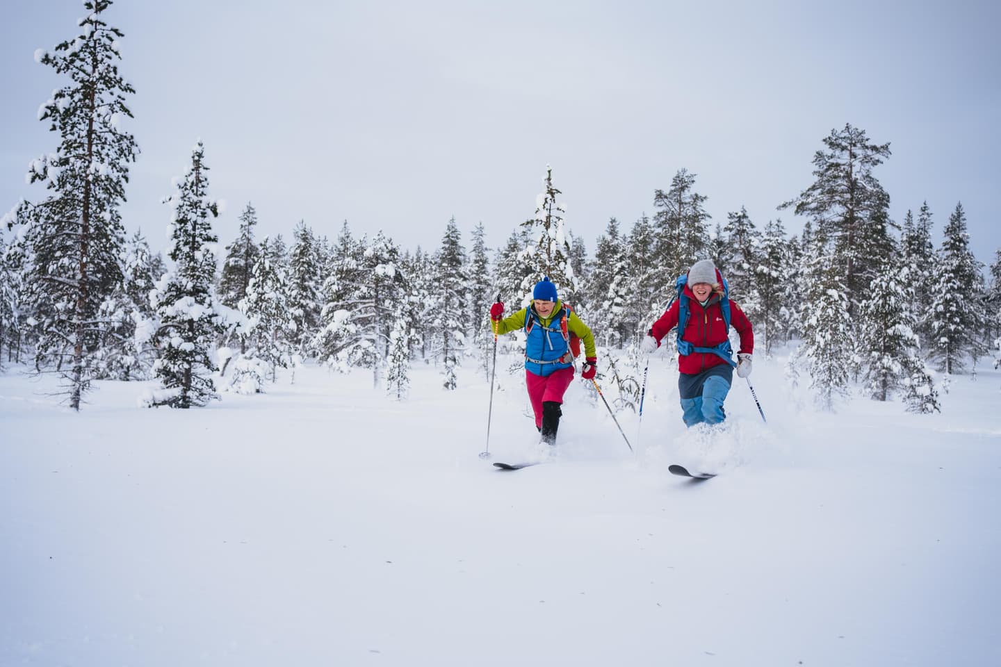 Image: Jaakko Posti Two outdoor visitors are moving briskly through deep snow in a winter forest on sliding snowshoes.