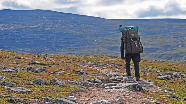 Käsivarren erämaa - Luontoon