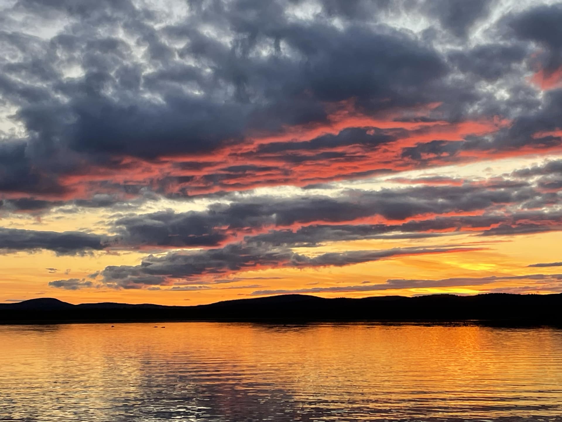 Lapin erämaa-alueet - Luontoon