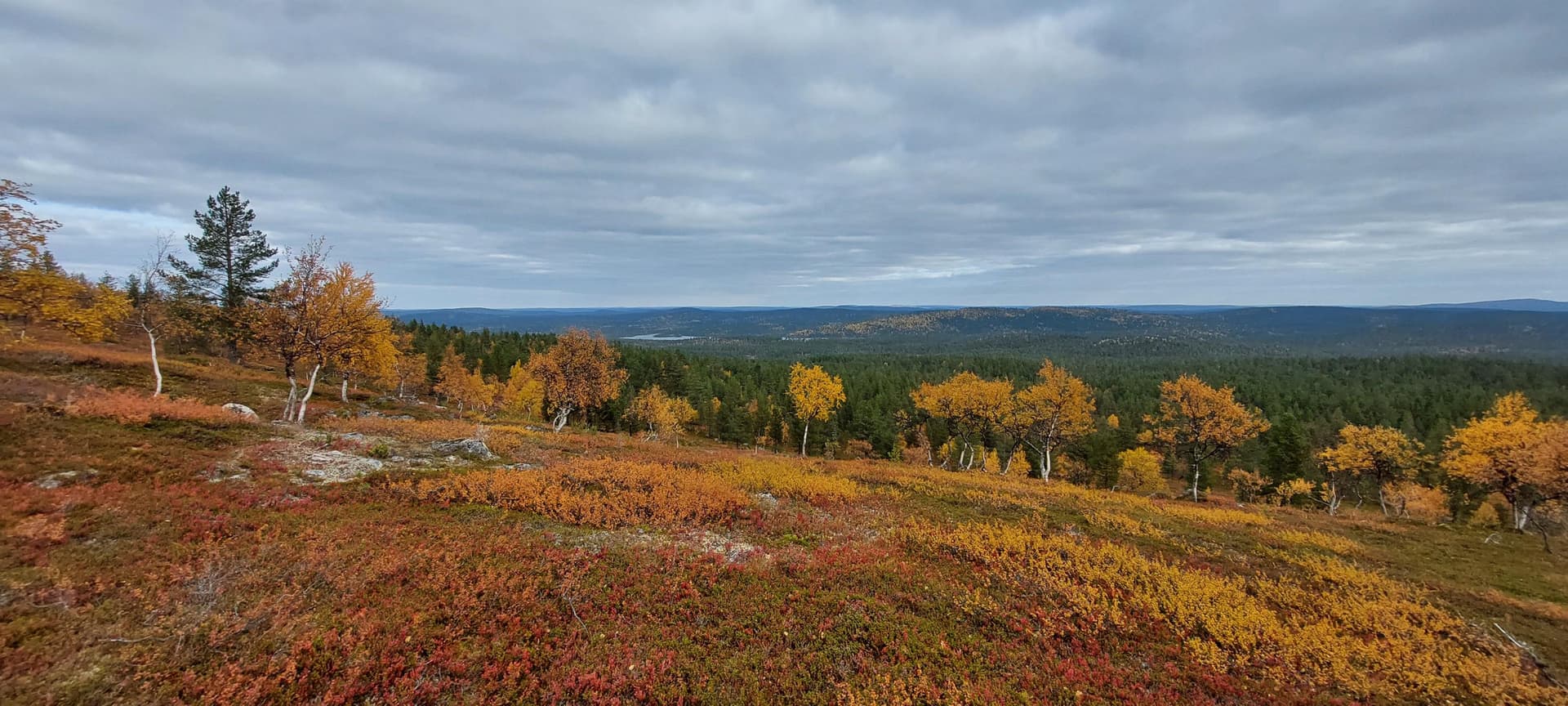 Lapin erämaa-alueet - Luontoon