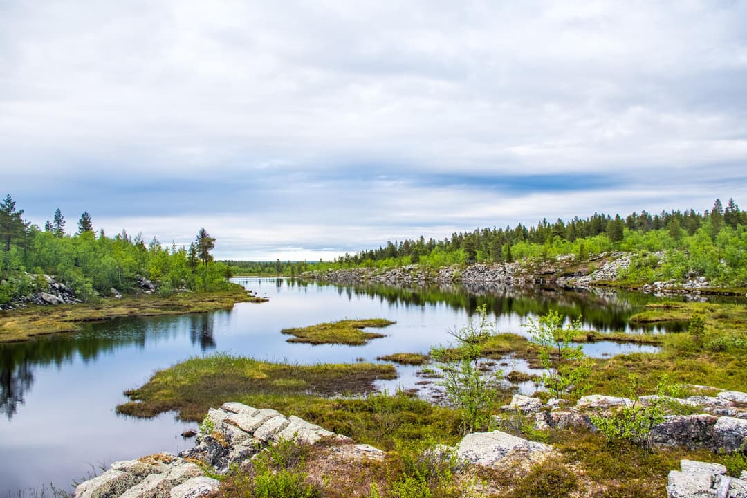 Lapin erämaa-alueet - Luontoon