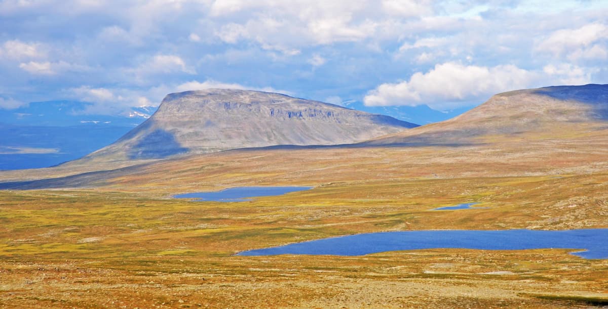 Käsivarren erämaa - Luontoon