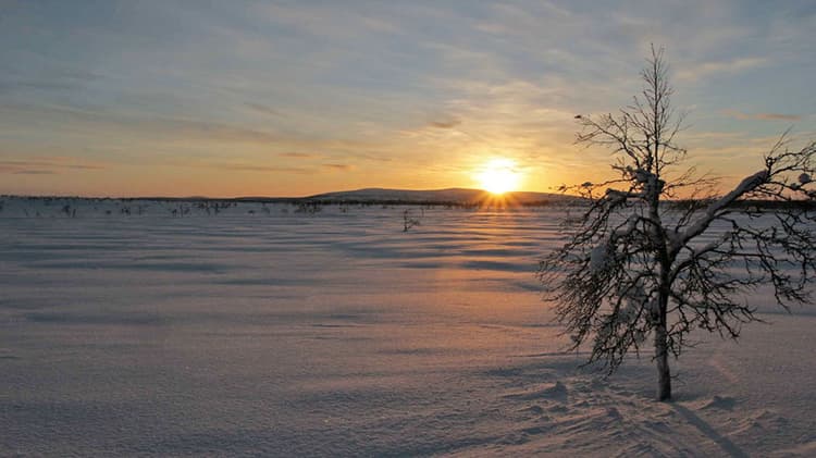Lapin erämaa-alueet - Luontoon