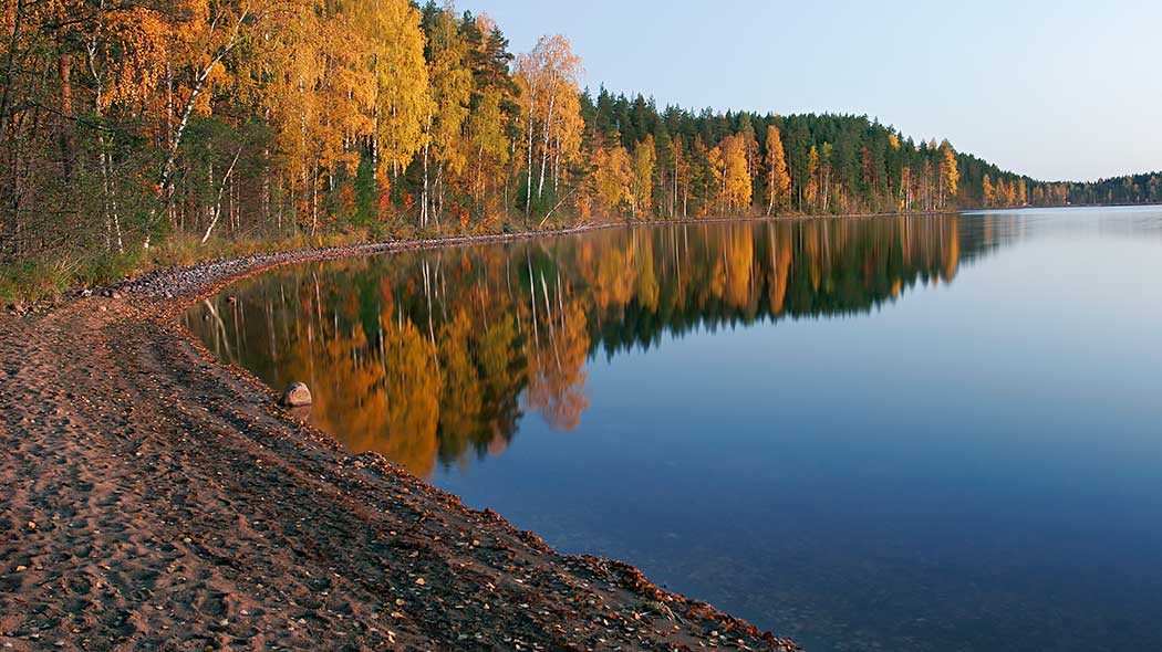 Hiekkaranta ja tyyni järven pinta, metsän puut ovat syysväreissä.
