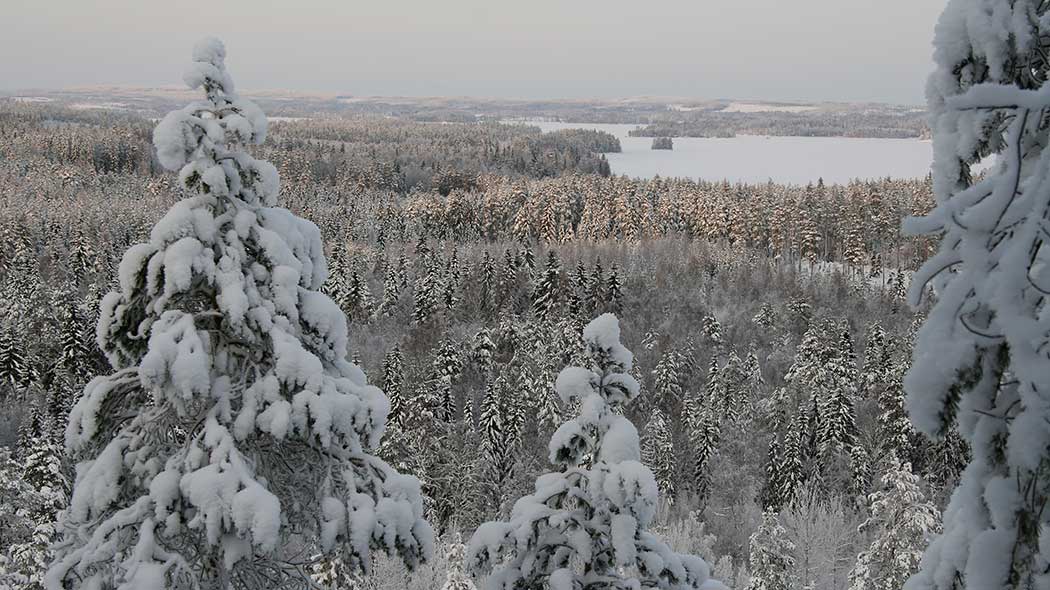 Snöig skog- och sjölandskap från backen.