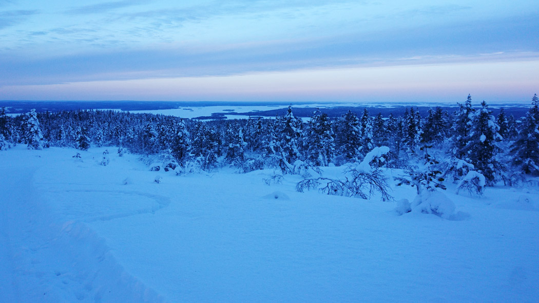 Edessä talvista mäntymetsää ja kaukana siintää ison järven valkoinen lumipeitteinen jääkansi. Taivas on purpuran sininen ja maassa oleva lumi sinertää.