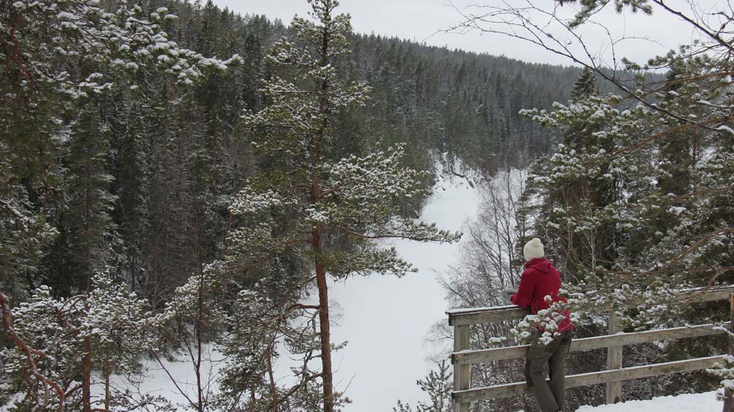 Sjö- och skogslandskapet på vinter.