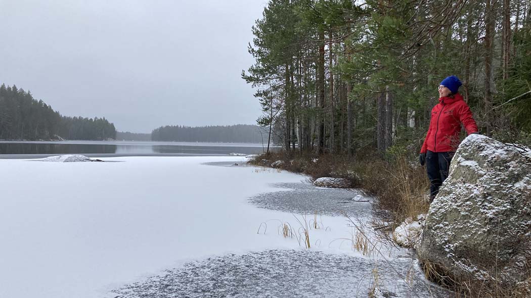 Alkutalven järvenrantamaisema. Järvi on osittain jäätynyt.