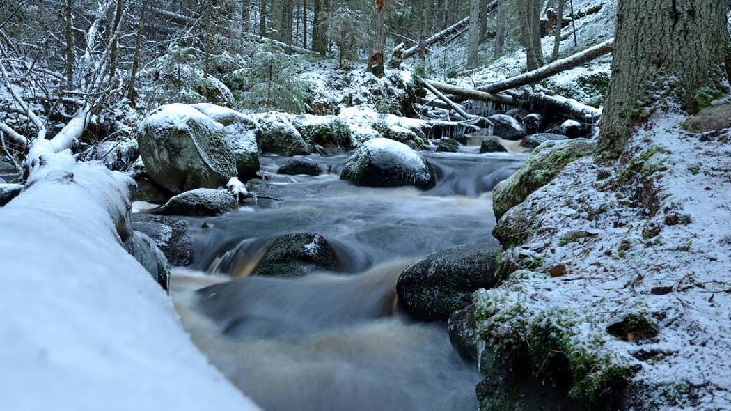 Bäcken rinner genom skogen på vinter.