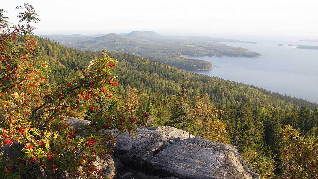 Höstens magi. Utsikt från Ukko-Koli till Pielinen.