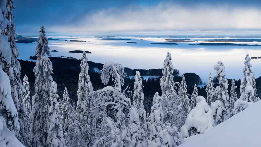 Kalliolta kuvattu alaspäin metsää, jossa lumisia puita. Takana aukeaa järvi saarineen. Järvi on alkanut jäätyä