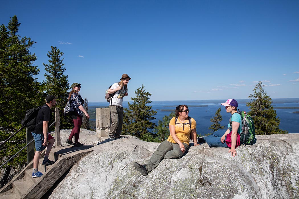 Fem personer står på toppen av berget. Ett somrigt landskap i bakgrunden.