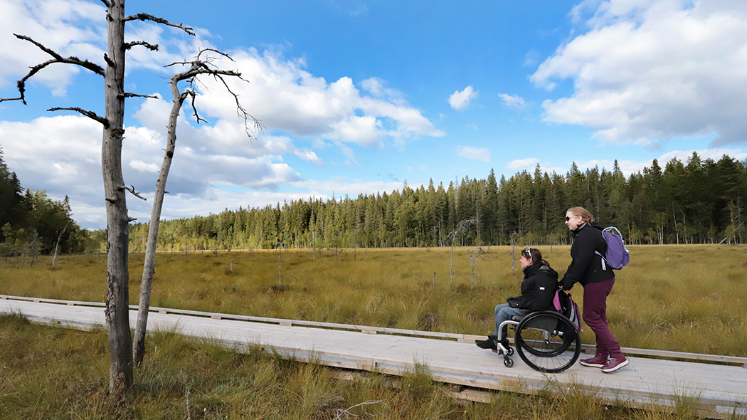Avustaja kuljettaa pyörätuolissa istuvaa retkeilijää pitkospuilla avoimella suoalueella.