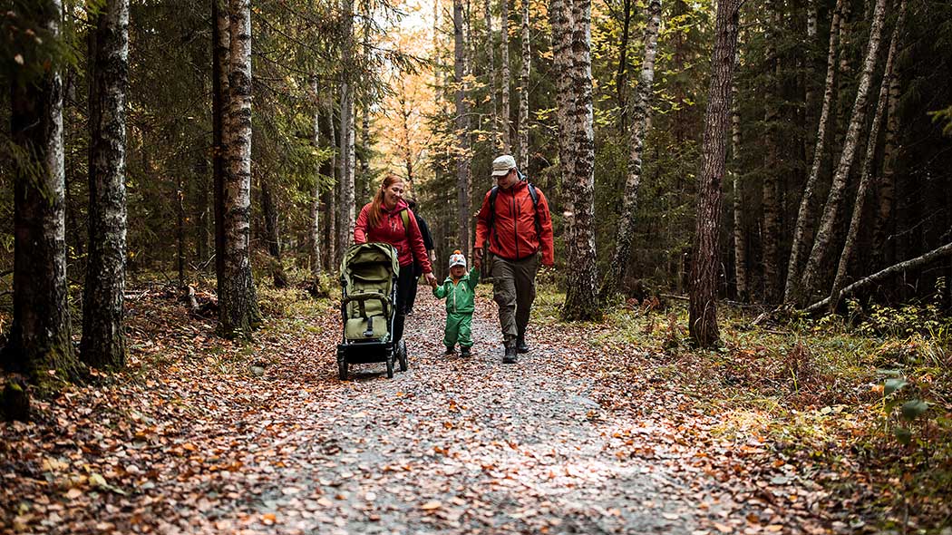 En familj med barnvagn går i en höstskog längs en stig med stenaska.