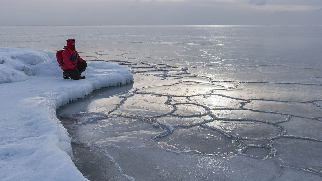 På iskanten tittar en vandrare på den isiga horisonten.
