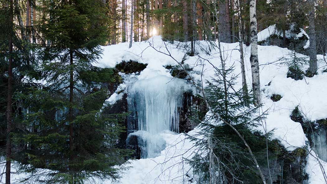 Aurinko kajastaa metsän läpi. Etualalla jääputous lumisessa jyrkänteessä.